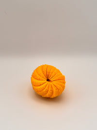 Egg fidget